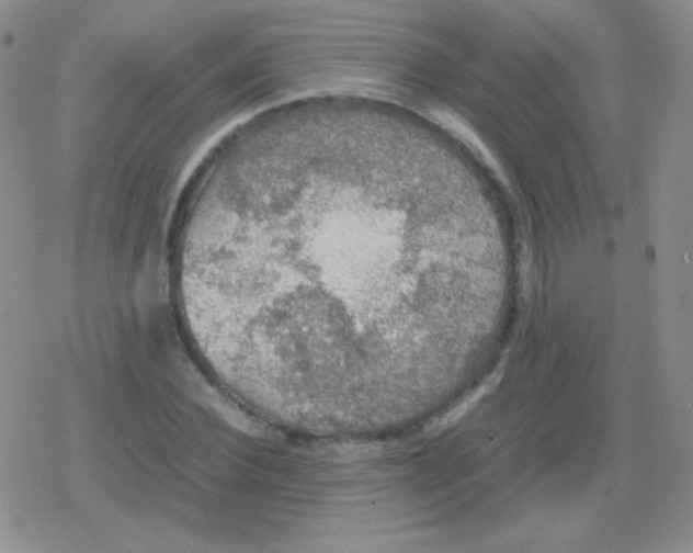 X0000079320924200612081930