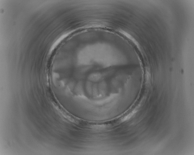 X0000079320925200612081930