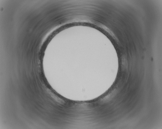 X0000079320926200612081930