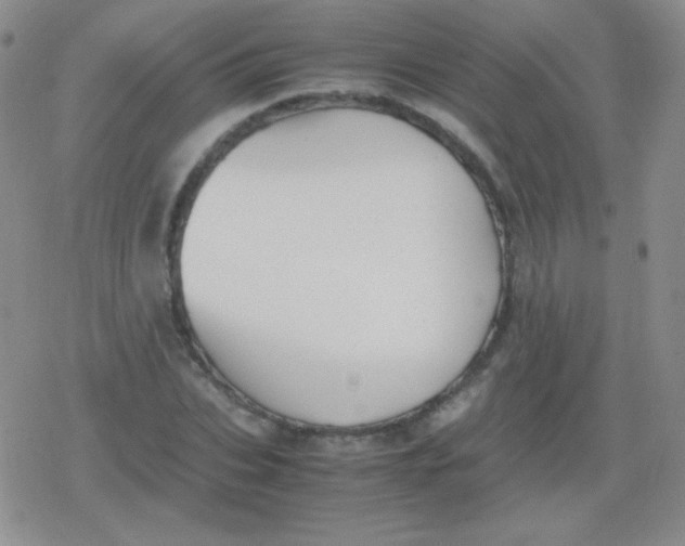 X0000079320927200612081930