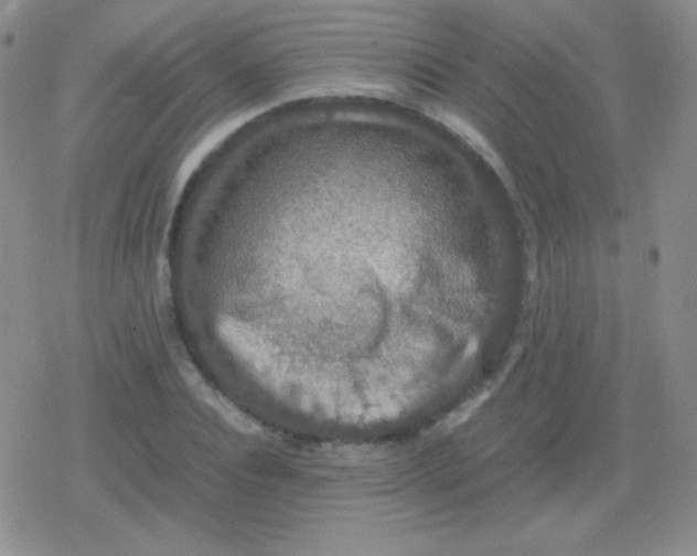 X0000079320928200612081930