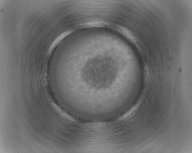 X0000079320930200612081930