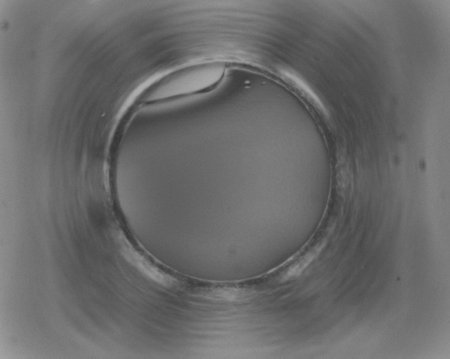 X0000079320932200612081930