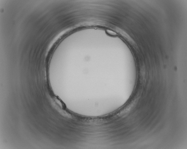 X0000079320934200612081930