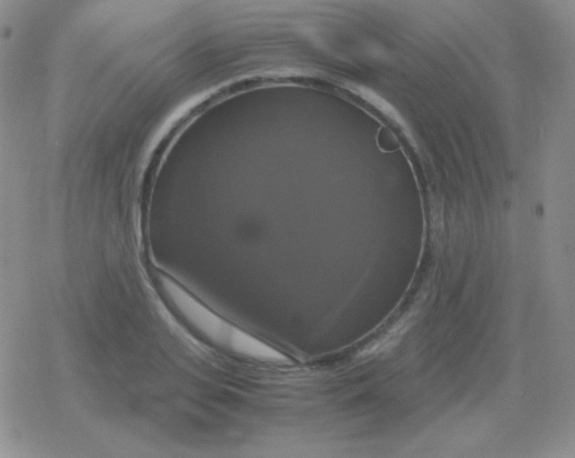 X0000079320935200612081930