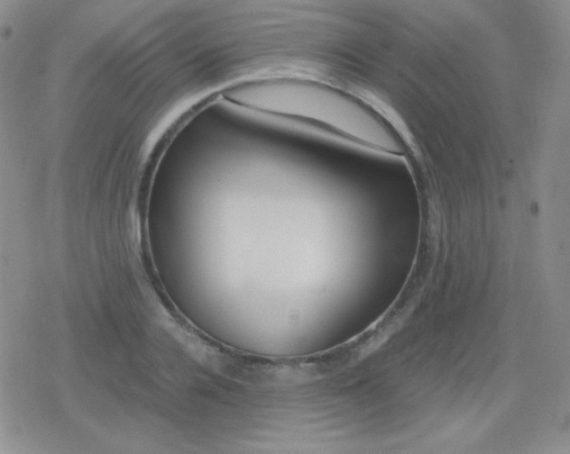 X0000079320936200612081930