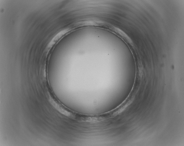 X0000079320938200612081930