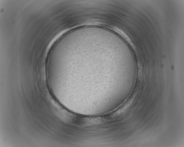 X0000079320939200612081930