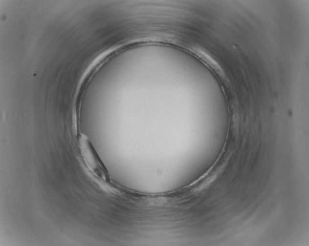 X0000079320940200612081930