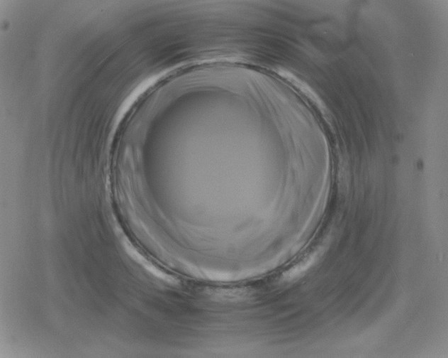 X0000079320941200612081930