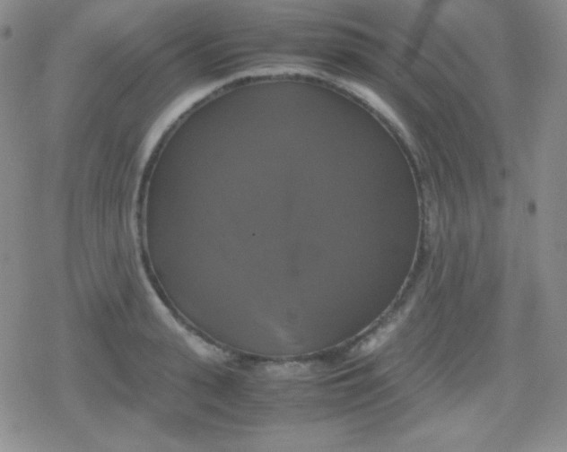 X0000079320943200612081931