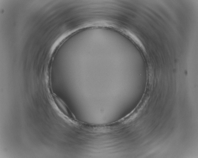 X0000079320944200612081931