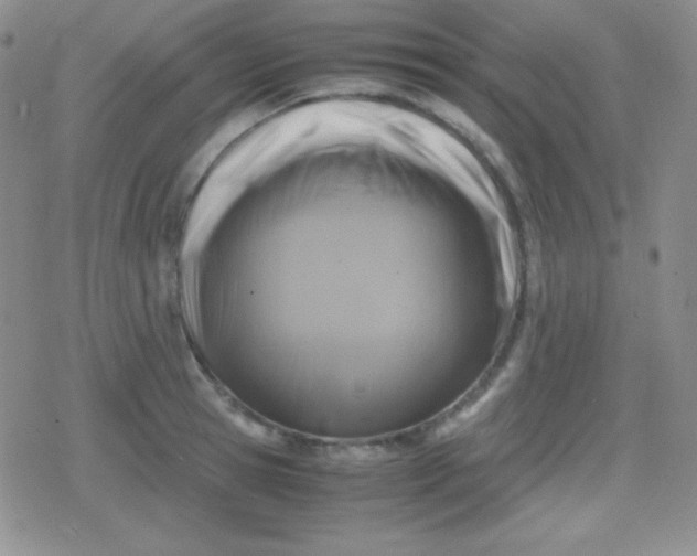 X0000079320945200612081931