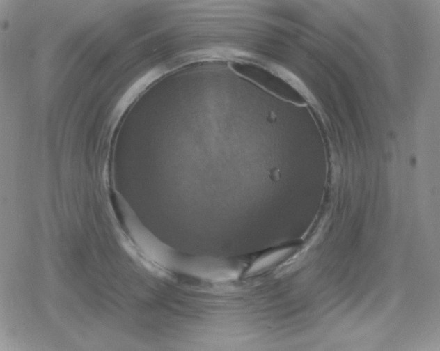 X0000079320946200612081931