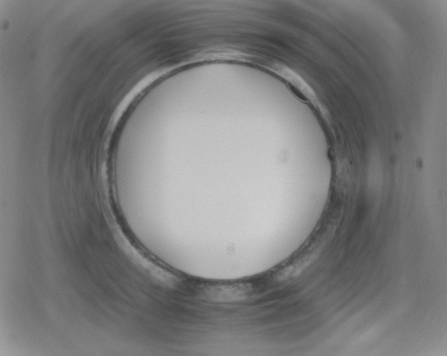 X0000079320947200612081931