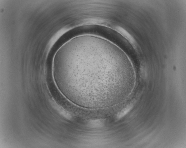 X0000079320948200612081931