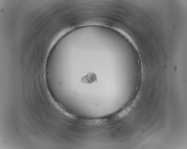 X0000079320949200612081931