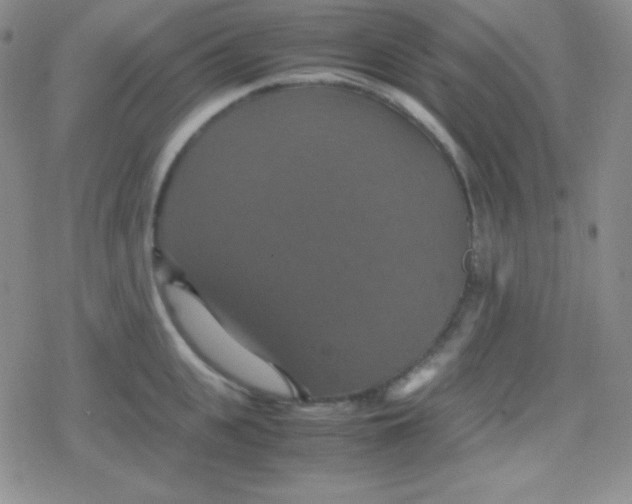 X0000079320951200612081931