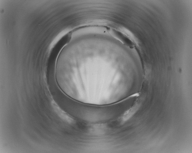 X0000079320952200612081931