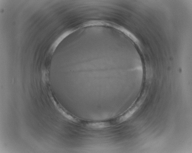 X0000079320953200612081931