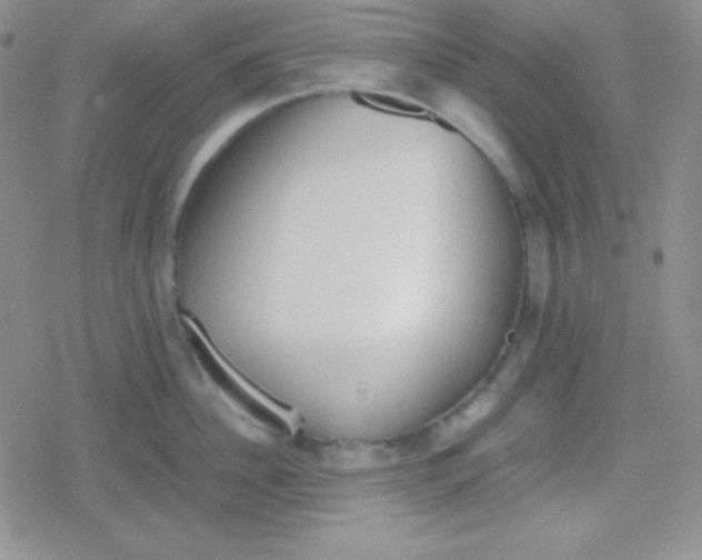 X0000079320956200612081931