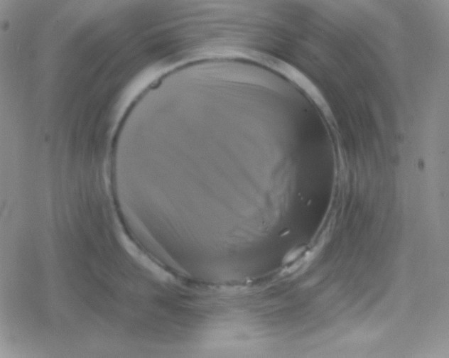 X0000079320958200612081931