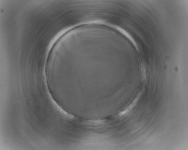 X0000079320959200612081931