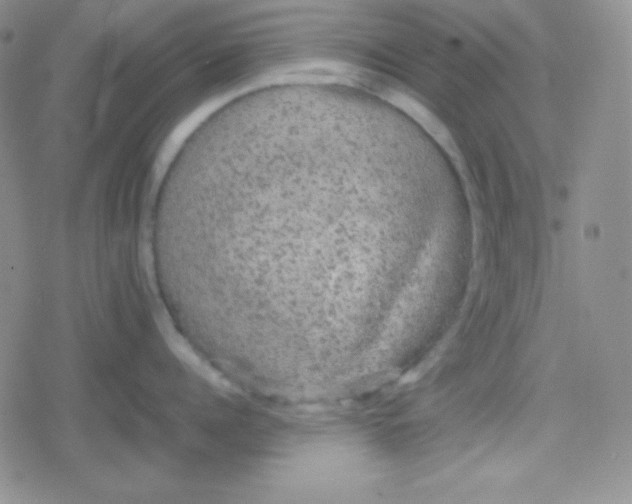 X0000079320960200612081931