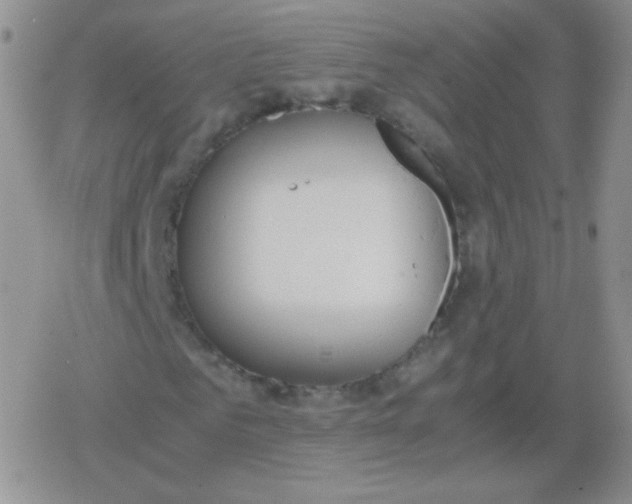 X0000079320961200612081930