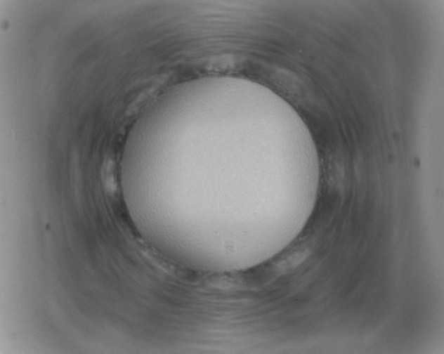 X0000079320962200612081930