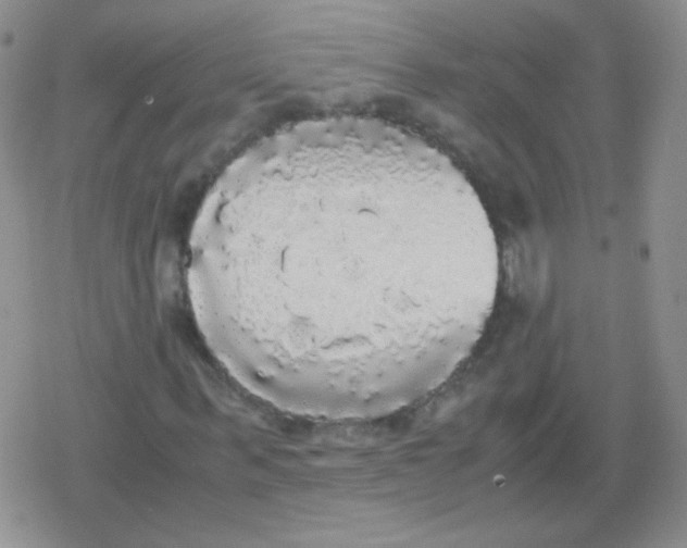 X0000079320963200612081930