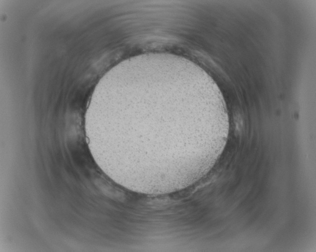 X0000079320964200612081930