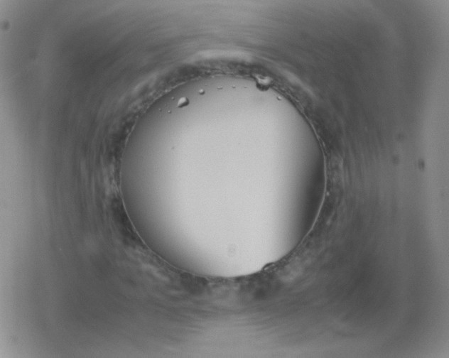 X0000079320965200612081930