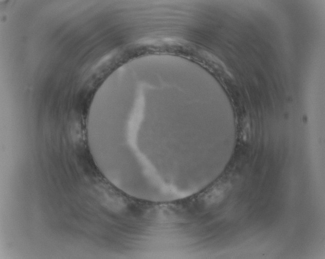 X0000079320966200612081930