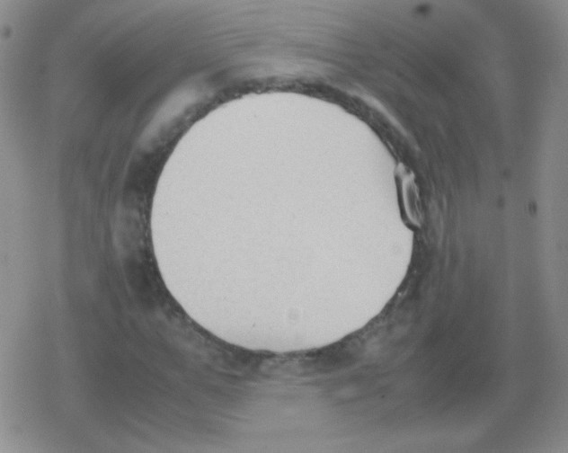 X0000079320967200612081930