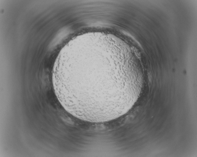 X0000079320968200612081930