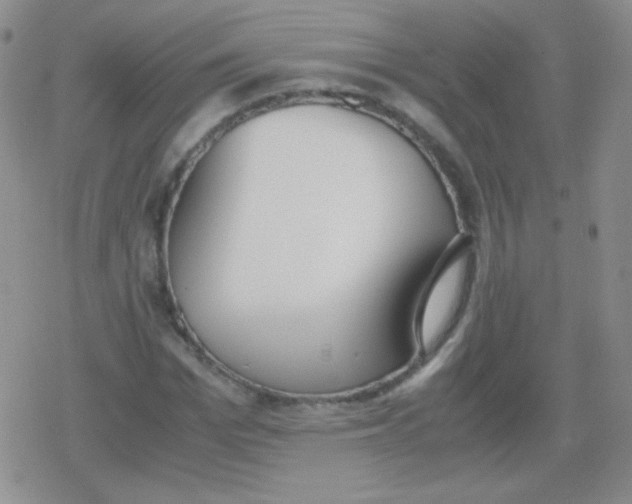 X0000079320969200612081930