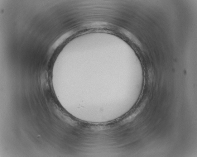 X0000079320970200612081930