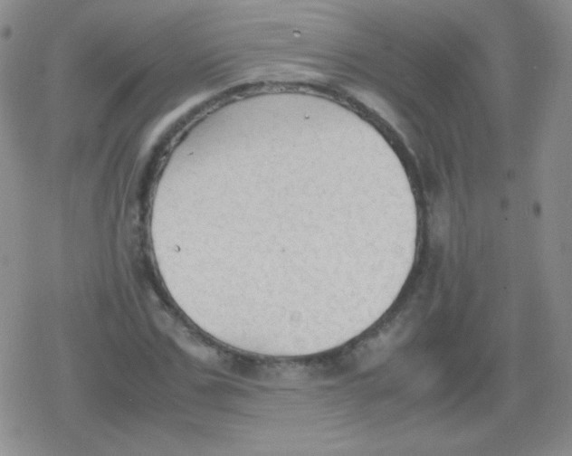 X0000079320971200612081930