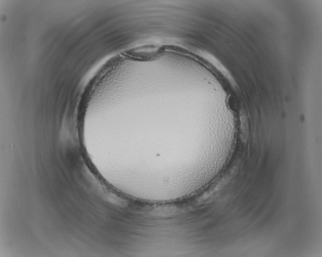 X0000079320972200612081930