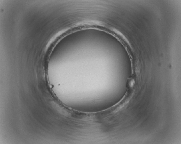 X0000079320973200612081930