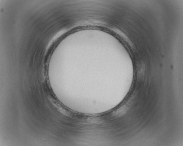 X0000079320974200612081930