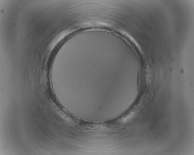 X0000079320975200612081930