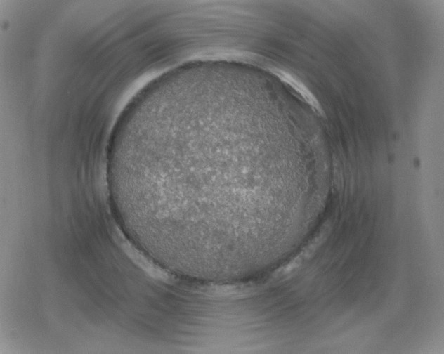 X0000079320976200612081930