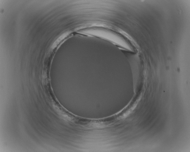 X0000079320977200612081930