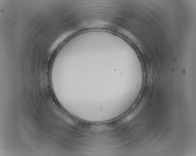 X0000079320978200612081930