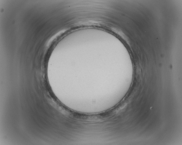 X0000079320979200612081930