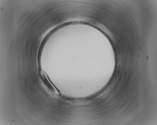 X0000079320980200612081930