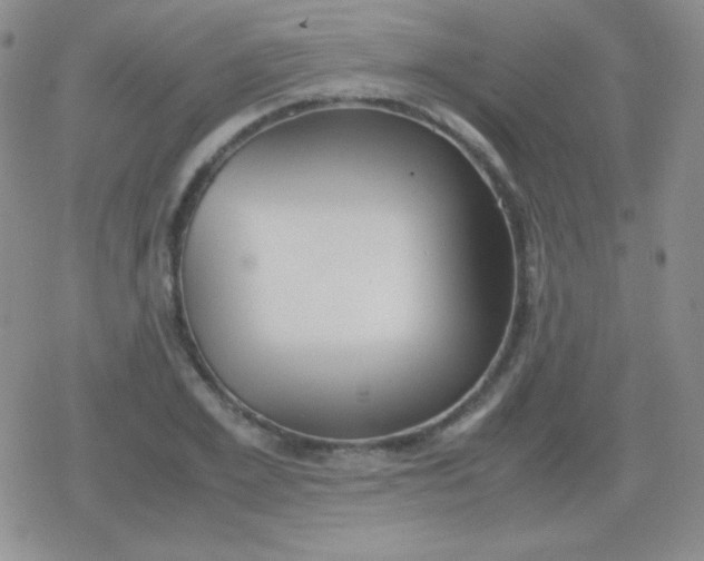 X0000079320981200612081930