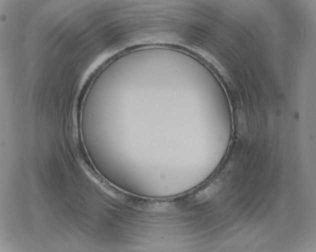 X0000079320982200612081930